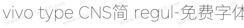 vivo type CNS简 regul字体转换